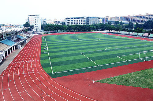 ���ݰ���ѧԺ