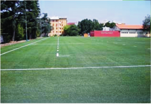 ������׽�������������򳡣����ʰ�����