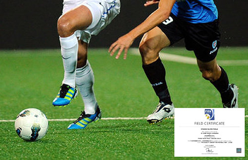 ��׹ٷ�Ƥ�������� �����ʰ�����