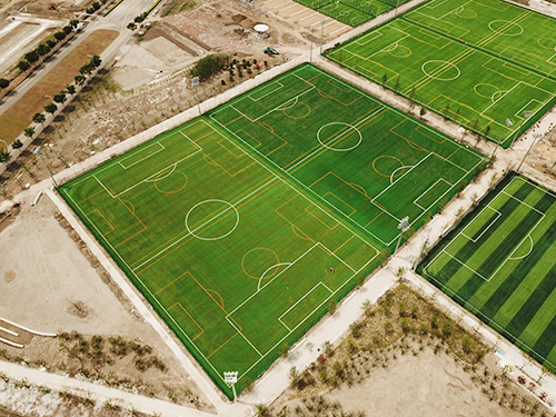 �Ϻ�����������԰һ��