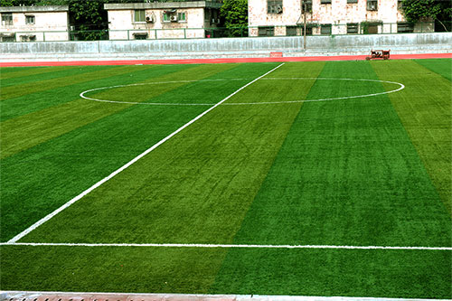 ������ѧԺ