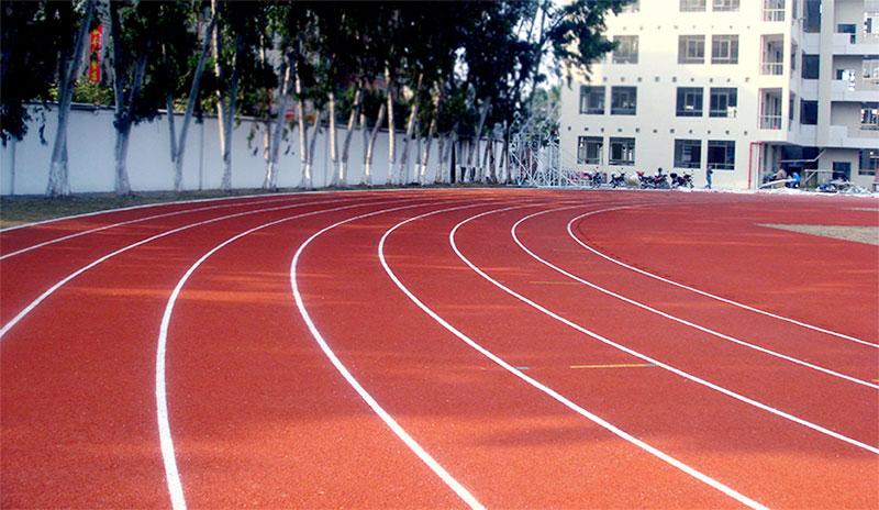 �㶫������ó��ѧ