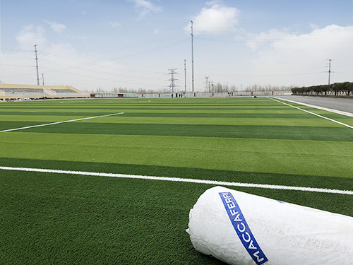 ������ŷ������һ��ȫѧУ