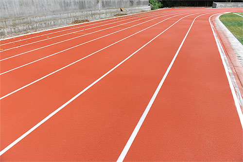 �㶫ʡ�����˶�����ѧԺ