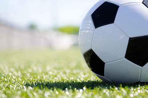 �����������ſƼ��˶���