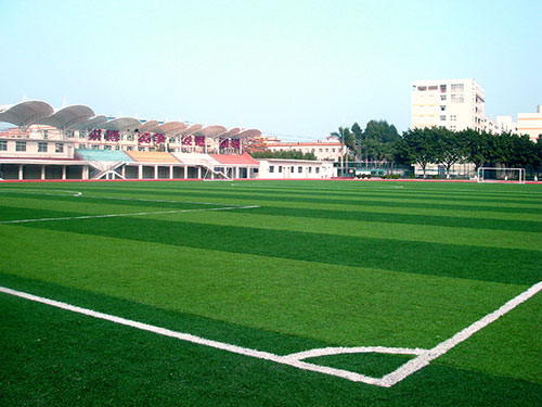 �㶫������ó��ѧ