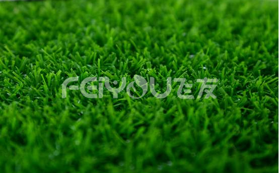 �����ƺ����