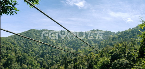 ����֪ʶ:������ִ�б�׼����ط��ɷ���