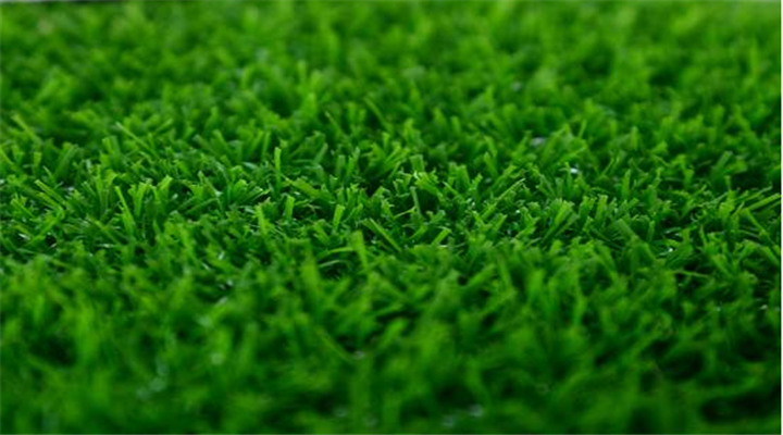 �Ϸ���˾�������׶�԰�����ƺ���ŵ�