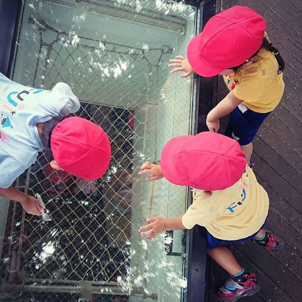 ������Ƶ��׶�԰��Ϊ�����ͷ����Ե���԰