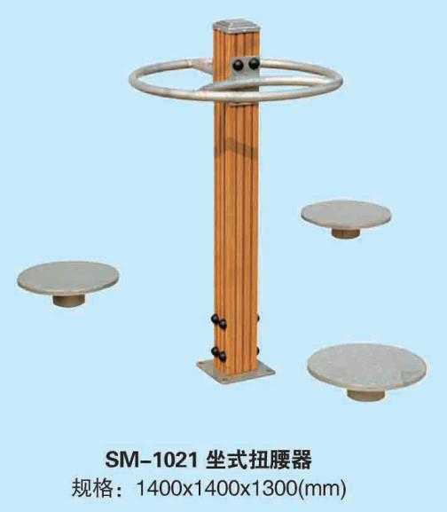 SM/1021��ʽ������Ħ��