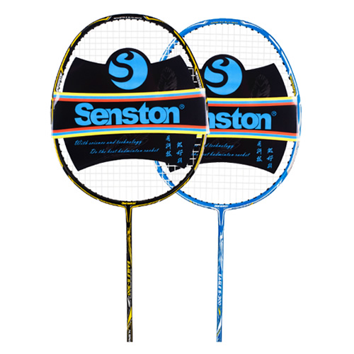 ʥ˹��S-300��ë����