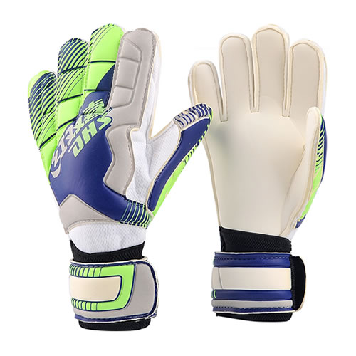 ��˫ϲ303����Ա����ͼ1