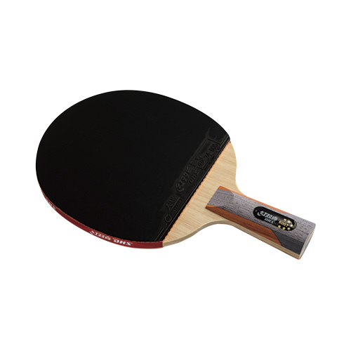 ��˫ϲR6007ƹ������