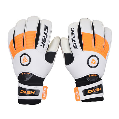 ����SG460����Ա����ͼ1