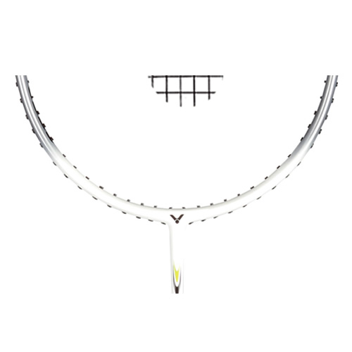 ʤ��EXP-6550 R/C/D/F��ë�����Ŀ�