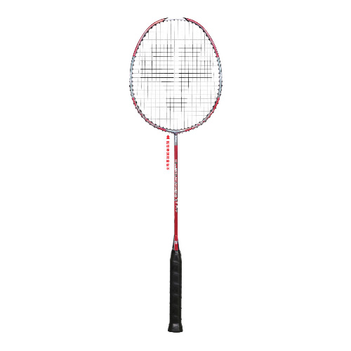 ��ʨ��X2 PRO��ë����