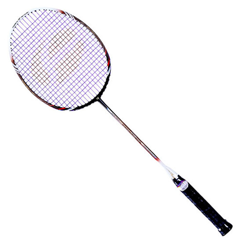 ����˹PRIMA 848��ë����