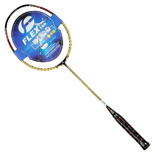 ����˹TI-9 PLUS��ë����