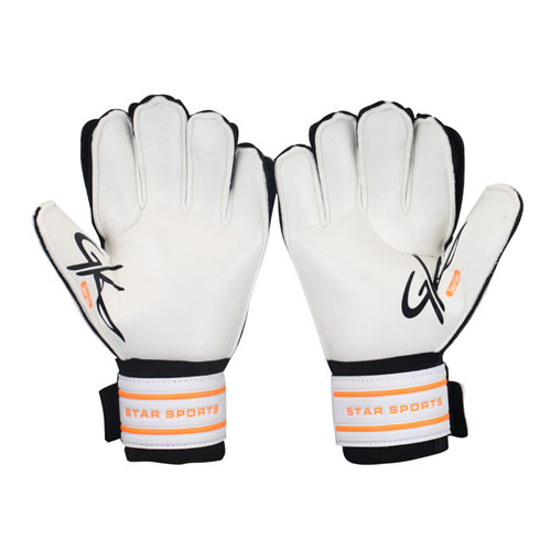 ����SG460����Ա����ͼ2