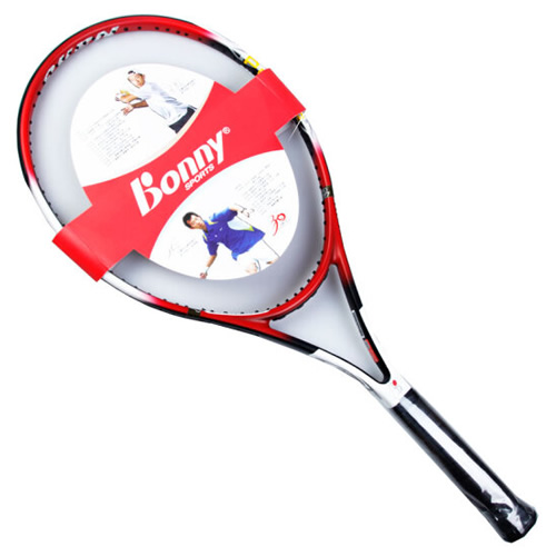 ����Nano 8.6������