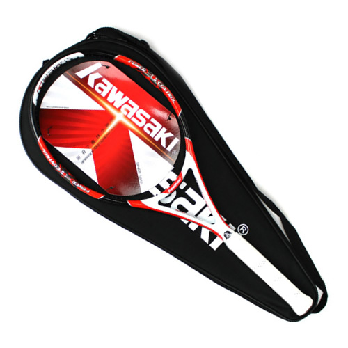 ����SHARP 500������ͼ1