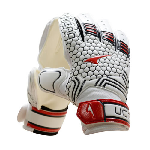 ���VD8512����Ա����