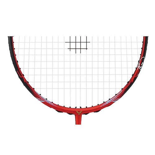 ʤ��TK-DONG��ë�����Ŀ�