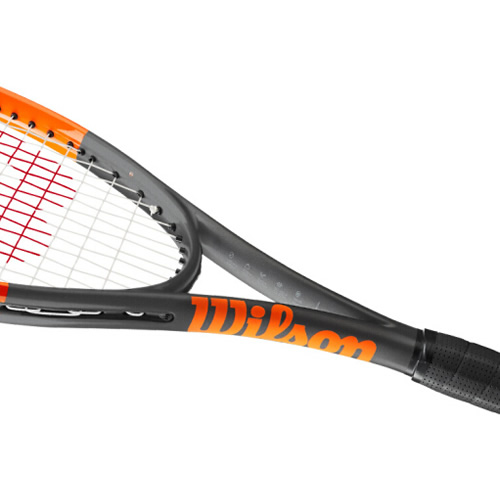 ����ʤBURN 100LS������ͼ1