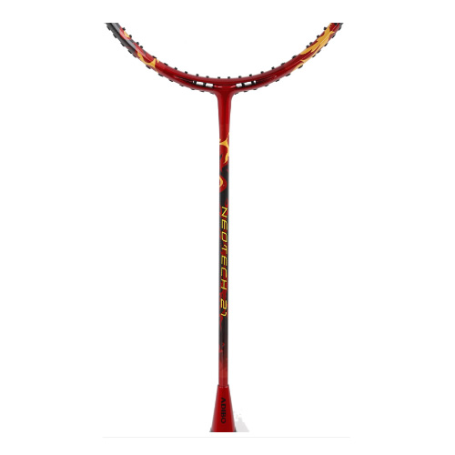 ���ϱ�NT21��ë�����ĸ�