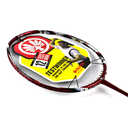 ������TI10��ë����ͼ1