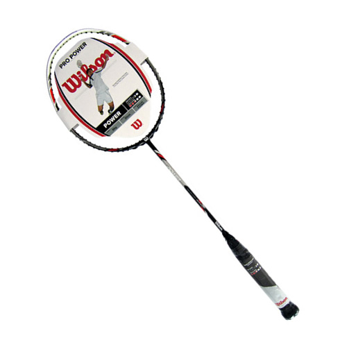 ����ʤPro Power��ë����