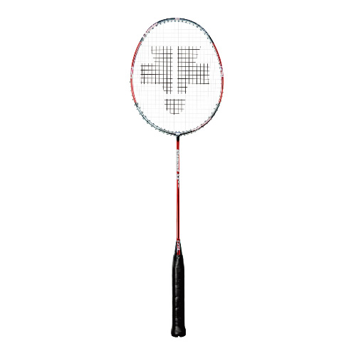 ��ʨ��X3 SILVER��ë����