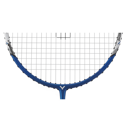 ʤ������100��ë�����Ŀ�