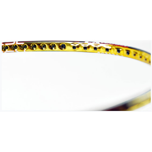 ��ʨ��X3 GOLD��ë�����Ŀ�