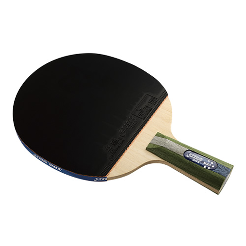 ��˫ϲR5007ƹ������