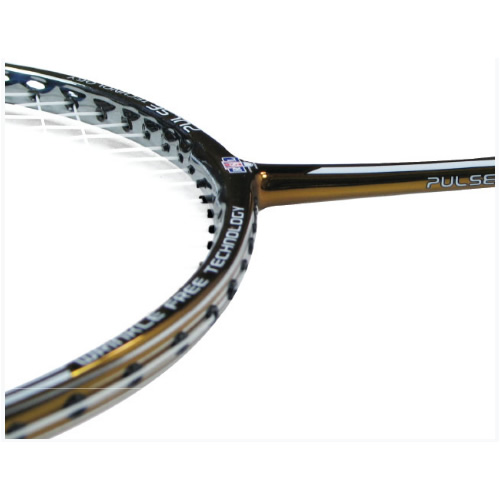 ��ʨ��X2 GOLD��ë�����Ŀ�