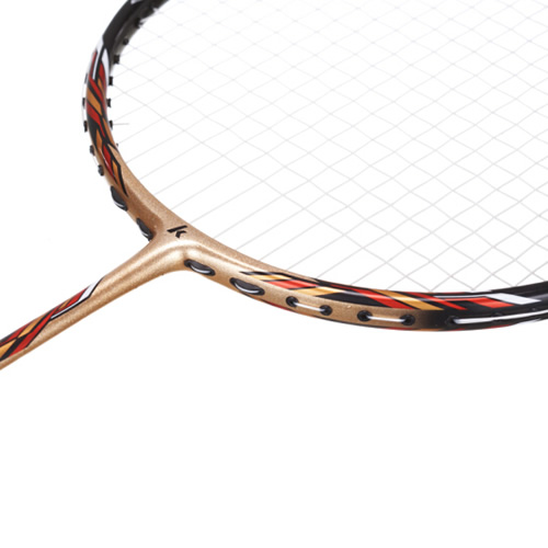 ����P510��ë����ͼ1