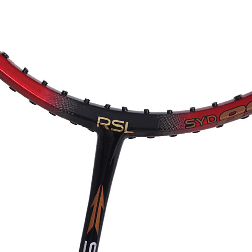 ��ʨ��SYD899��ë����ͼ3