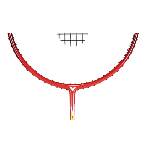 ʤ��EXP-6350��ë�����Ŀ�