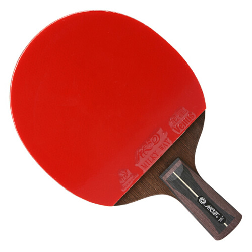 ����12Dƹ������