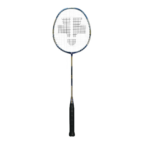 ��ʨ��X2 Blue��ë����