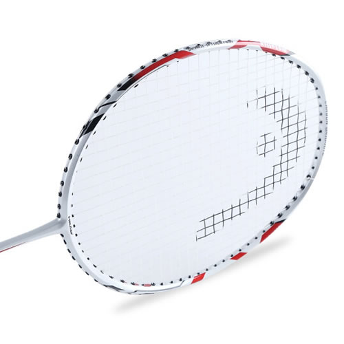 ����TRANS-FORM��ë����ͼ2