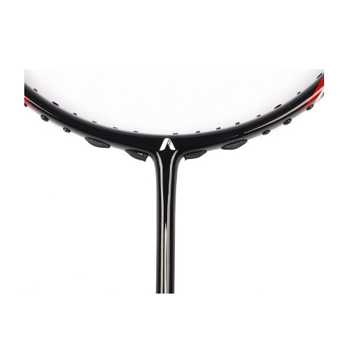 ���ϱ�TBO24P��ë�����Ŀ�