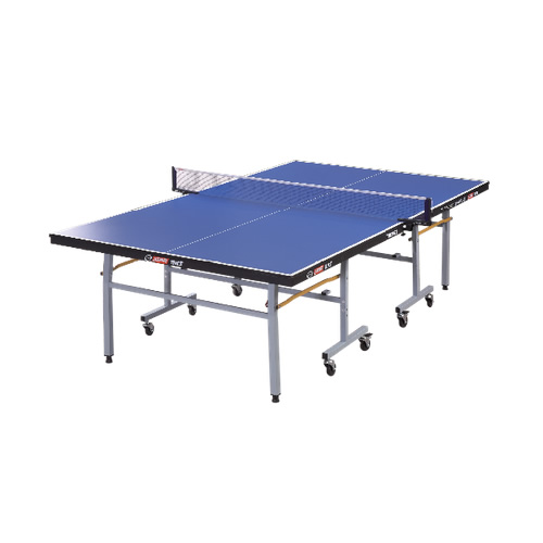 ��˫ϲTM2023����ʽƹ������