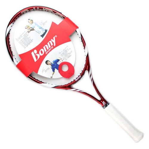 ����FLASH F2������