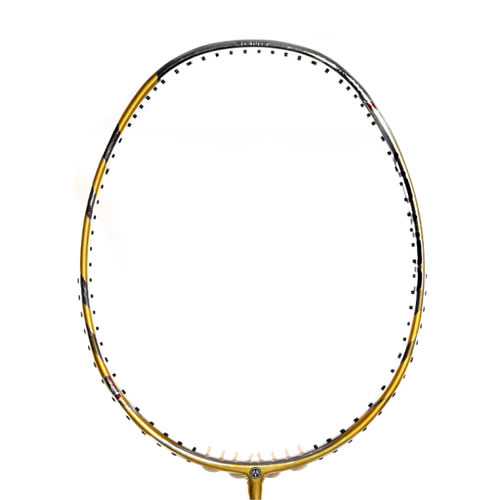 ������RADIANCE 900��ë����ͼ2