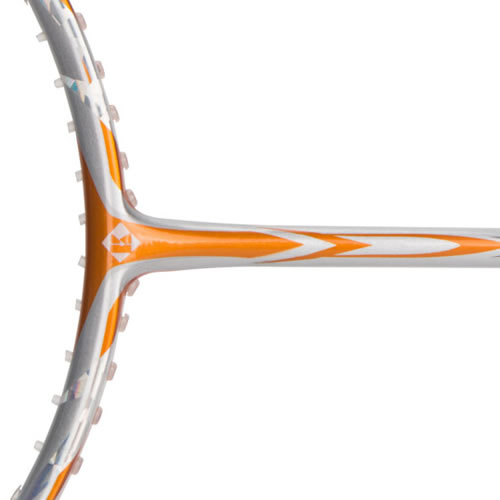 ޹����Ѽ���ë����ͼ2