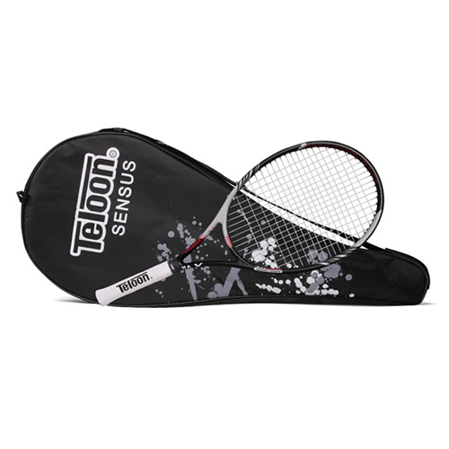 ����SENSUS XVII������