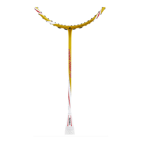 ���ϱ�CP1700��ë�����ĸ�